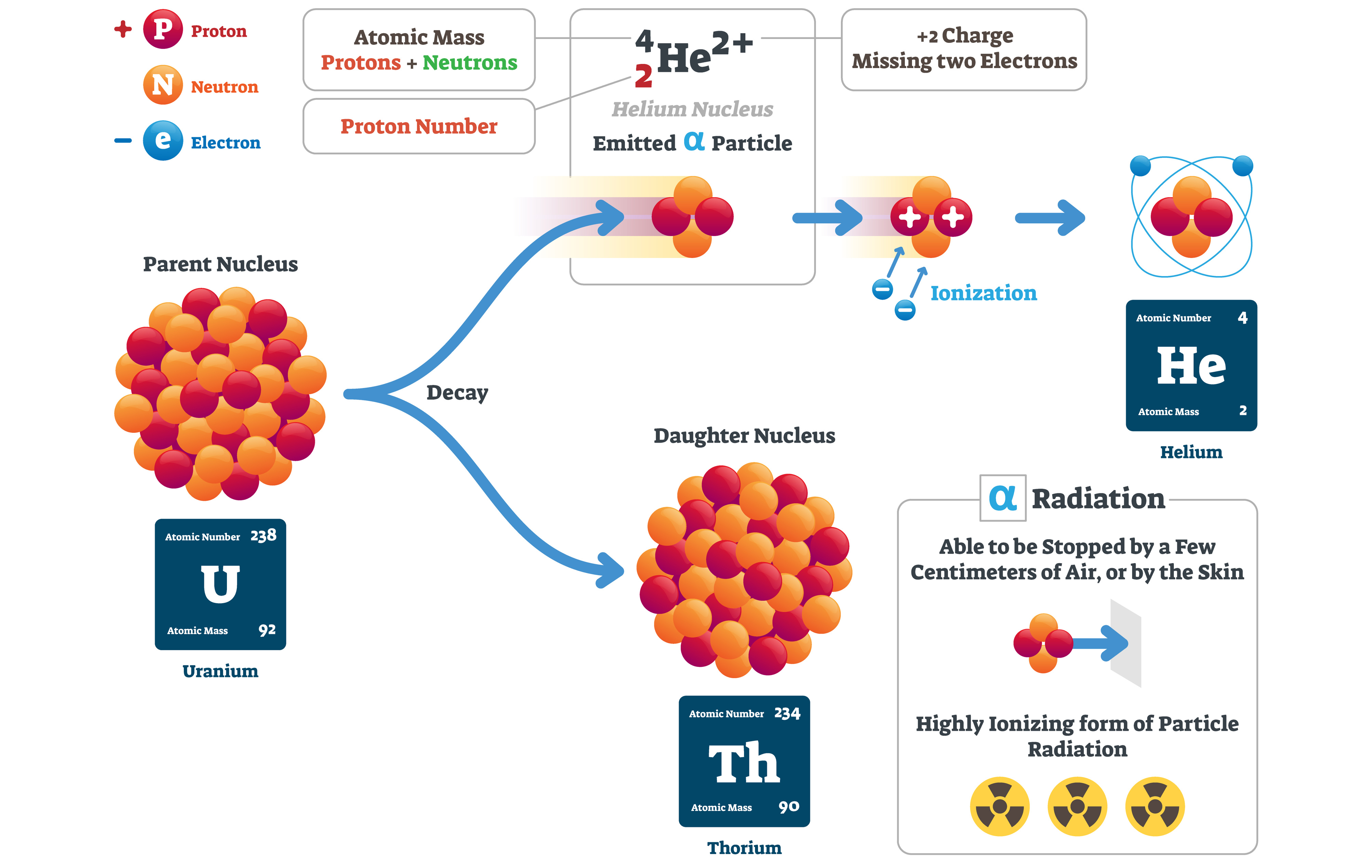 Alpha decay of uranium into thorium and an alpha particle which becomes helium