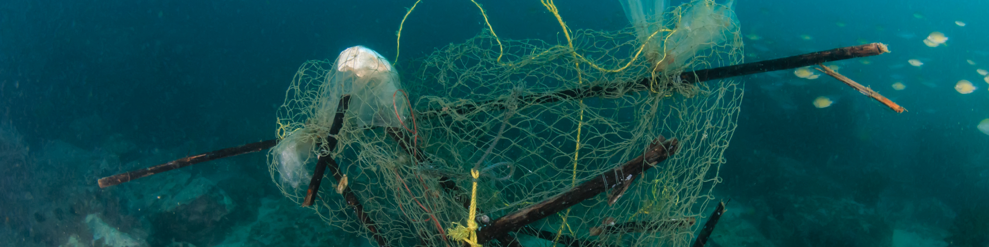 fishing net tangled underwater